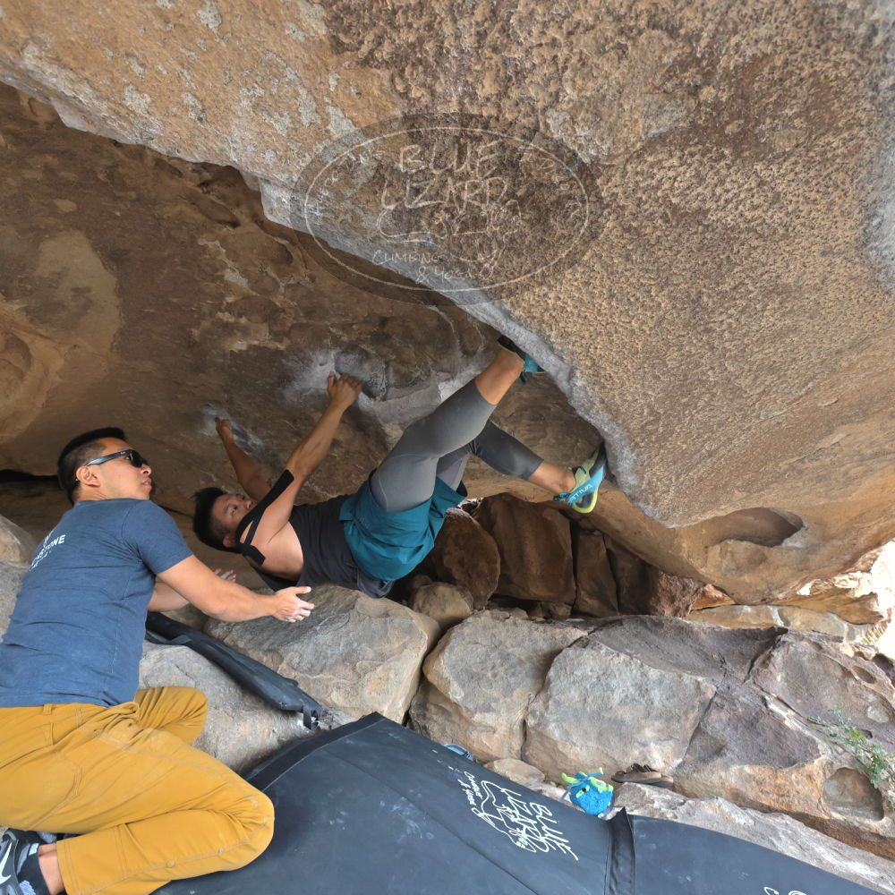 Filename: SRM_20221022_1423190.jpg
Aperture: f/5.6
Shutter Speed: 1/500
Body: Canon EOS R6
Lens: Canon EF 16-35mm f/2.8 L