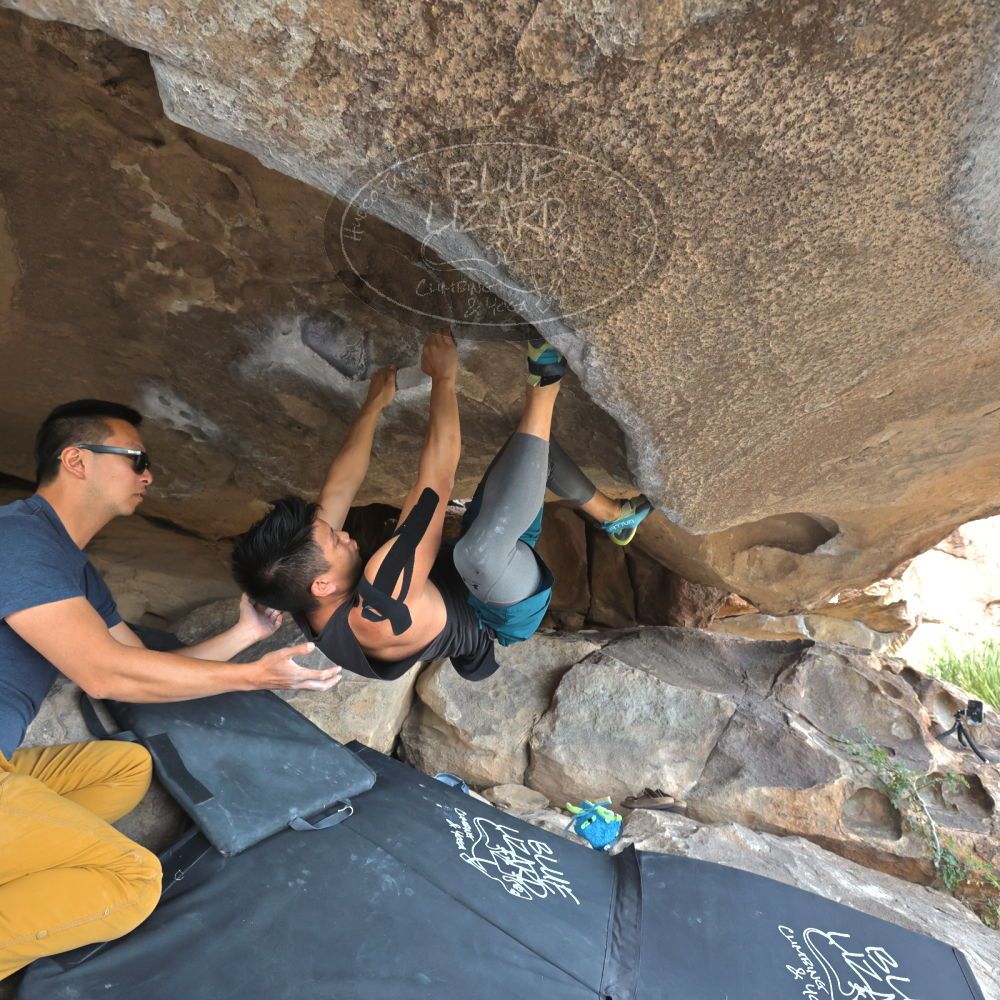 Filename: SRM_20221022_1423290.jpg
Aperture: f/5.6
Shutter Speed: 1/500
Body: Canon EOS R6
Lens: Canon EF 16-35mm f/2.8 L