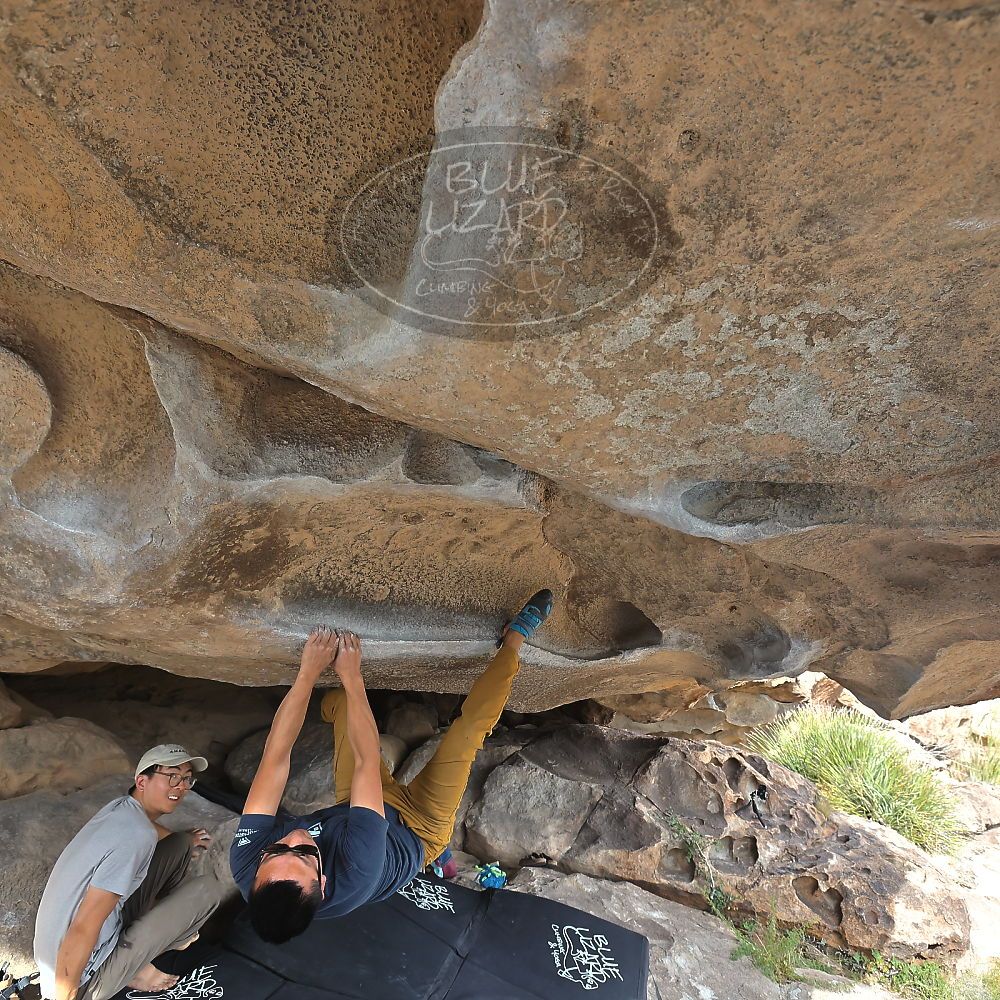 Filename: SRM_20221022_1433160.jpg
Aperture: f/5.6
Shutter Speed: 1/500
Body: Canon EOS R6
Lens: Canon EF 16-35mm f/2.8 L