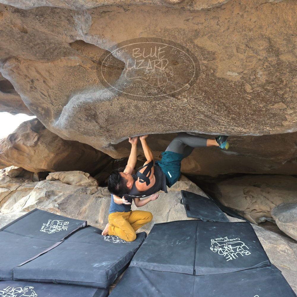 Filename: SRM_20221022_1457380.jpg
Aperture: f/5.6
Shutter Speed: 1/500
Body: Canon EOS R6
Lens: Canon EF 16-35mm f/2.8 L