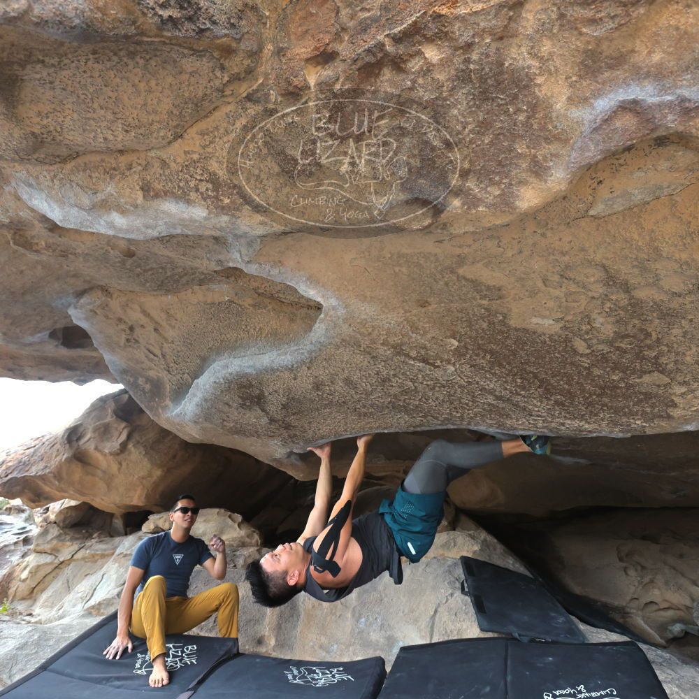 

Filename: SRM_20221022_1457470.jpg
Aperture: f/5.6
Shutter Speed: 1/500
Body: Canon EOS R6
Lens: Canon EF 16-35mm f/2.8 L