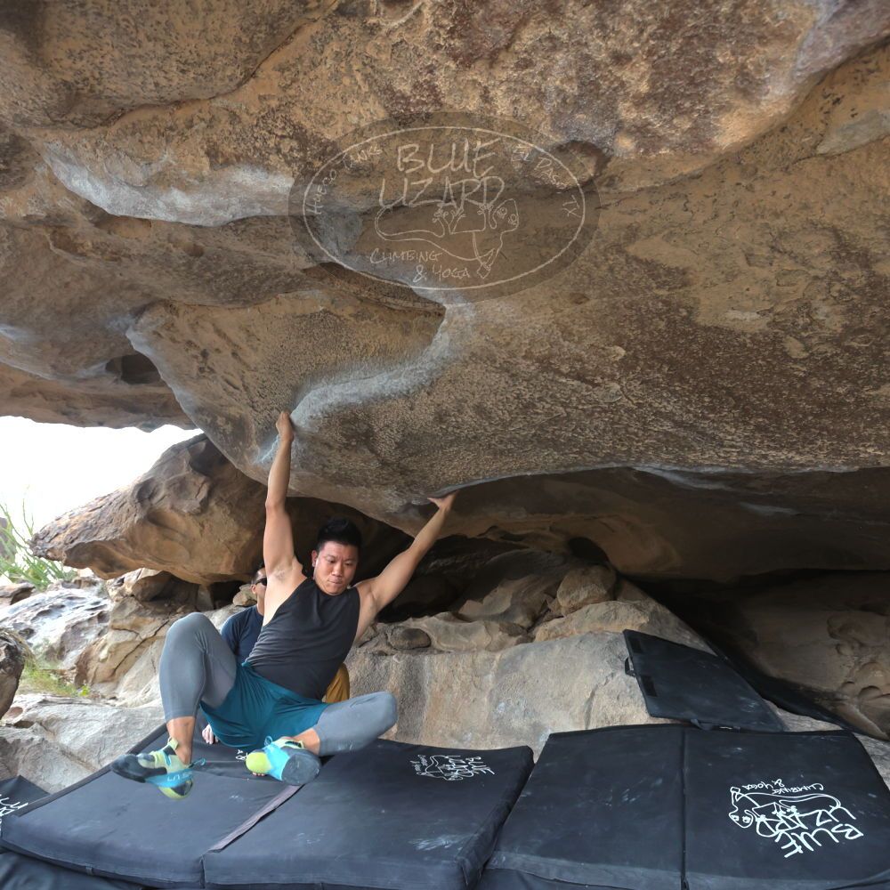 Filename: SRM_20221022_1457581.jpg
Aperture: f/5.6
Shutter Speed: 1/500
Body: Canon EOS R6
Lens: Canon EF 16-35mm f/2.8 L