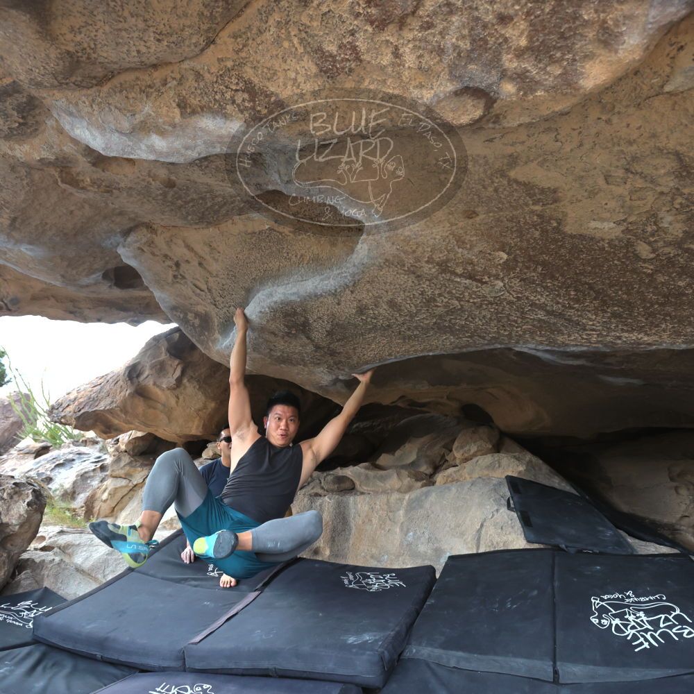 Filename: SRM_20221022_1457582.jpg
Aperture: f/5.6
Shutter Speed: 1/500
Body: Canon EOS R6
Lens: Canon EF 16-35mm f/2.8 L