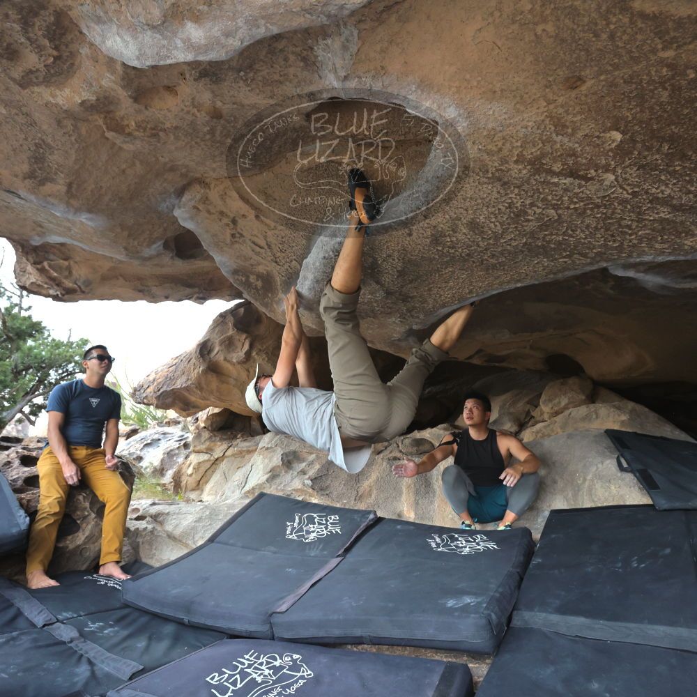 Filename: SRM_20221022_1501060.jpg
Aperture: f/5.6
Shutter Speed: 1/500
Body: Canon EOS R6
Lens: Canon EF 16-35mm f/2.8 L