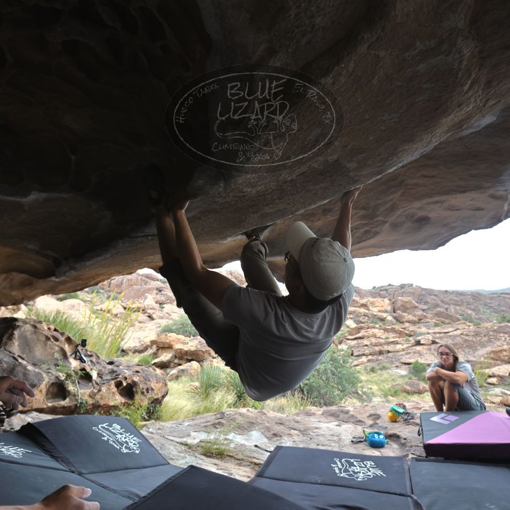 Filename: SRM_20221022_1511020.jpg
Aperture: f/5.6
Shutter Speed: 1/500
Body: Canon EOS R6
Lens: Canon EF 16-35mm f/2.8 L