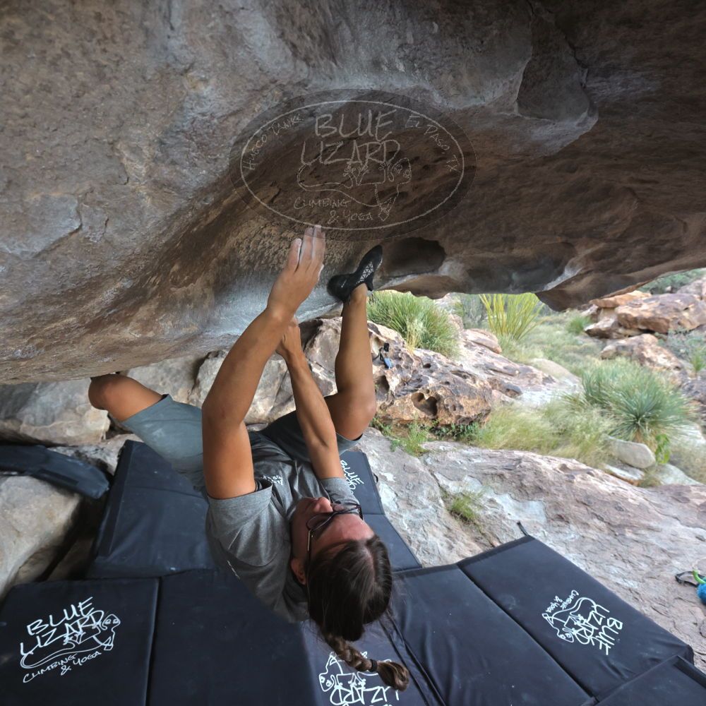 Filename: SRM_20221022_1517370.jpg
Aperture: f/5.6
Shutter Speed: 1/500
Body: Canon EOS R6
Lens: Canon EF 16-35mm f/2.8 L