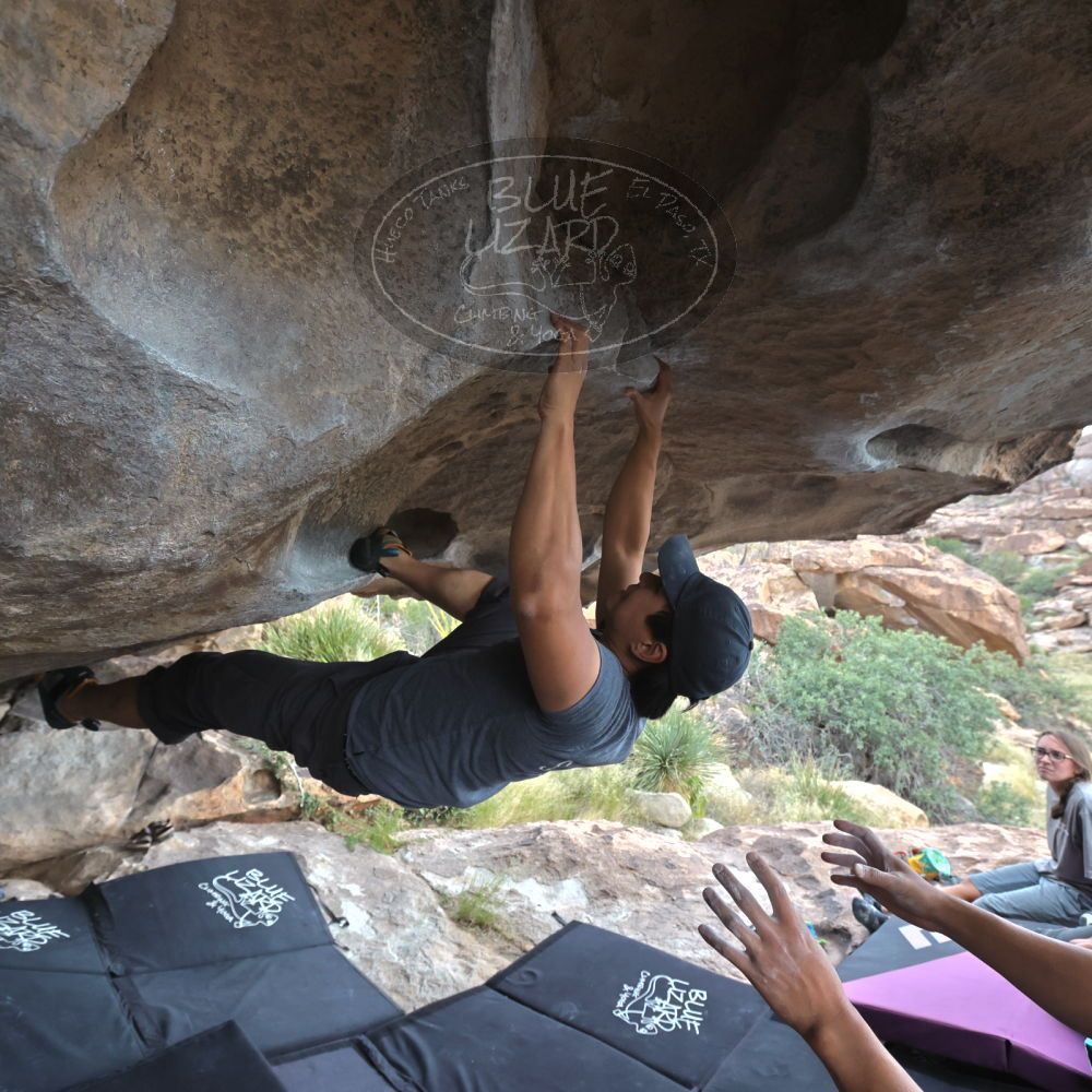 Filename: SRM_20221022_1520100.jpg
Aperture: f/5.6
Shutter Speed: 1/500
Body: Canon EOS R6
Lens: Canon EF 16-35mm f/2.8 L