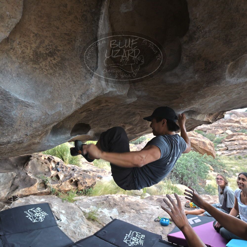 Filename: SRM_20221022_1520130.jpg
Aperture: f/5.6
Shutter Speed: 1/500
Body: Canon EOS R6
Lens: Canon EF 16-35mm f/2.8 L