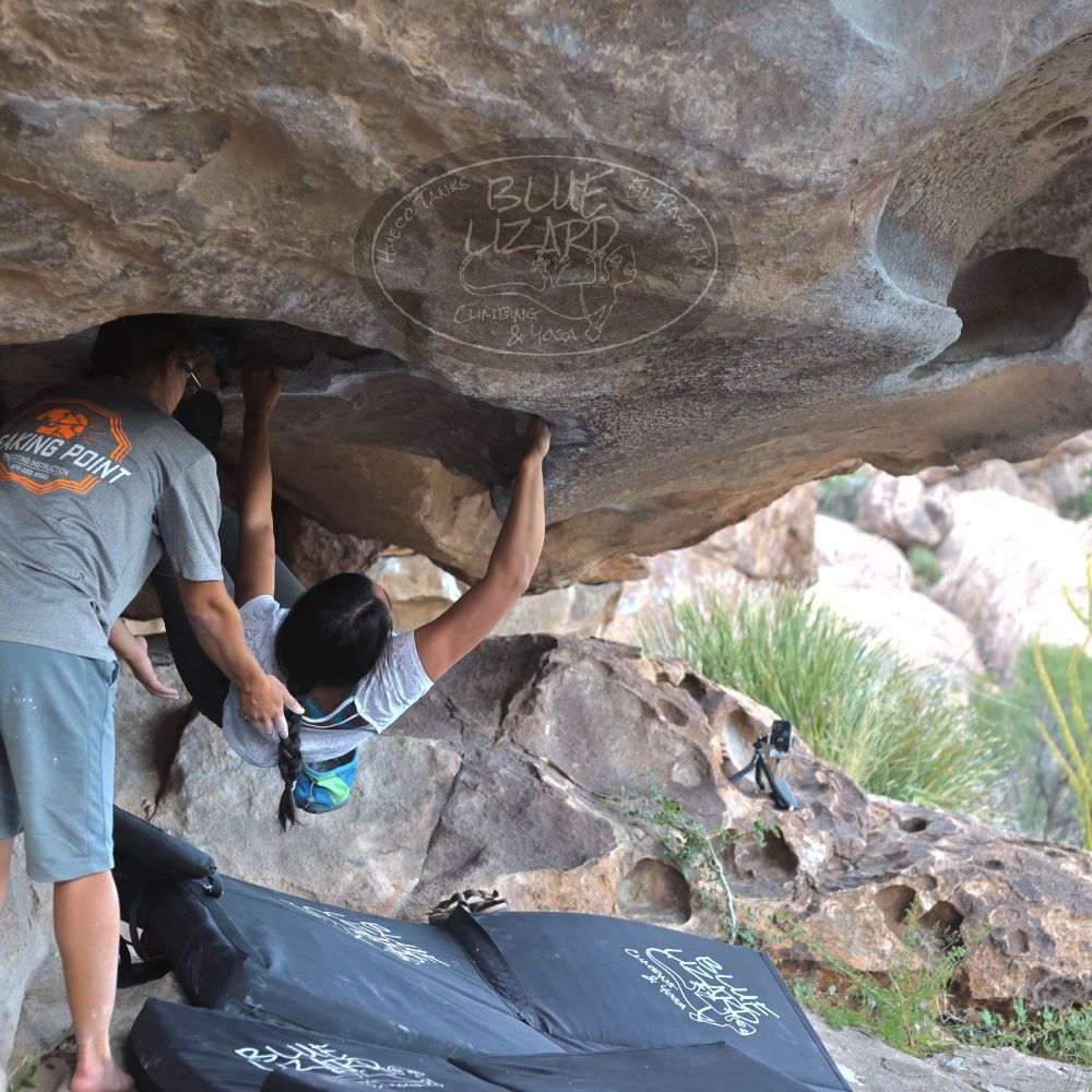 Filename: SRM_20221022_1525510.jpg
Aperture: f/4.0
Shutter Speed: 1/500
Body: Canon EOS R6
Lens: Canon EF 50mm f/1.8 II