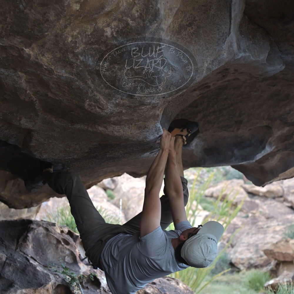 

Filename: SRM_20221022_1535070.jpg
Aperture: f/4.0
Shutter Speed: 1/500
Body: Canon EOS R6
Lens: Canon EF 50mm f/1.8 II