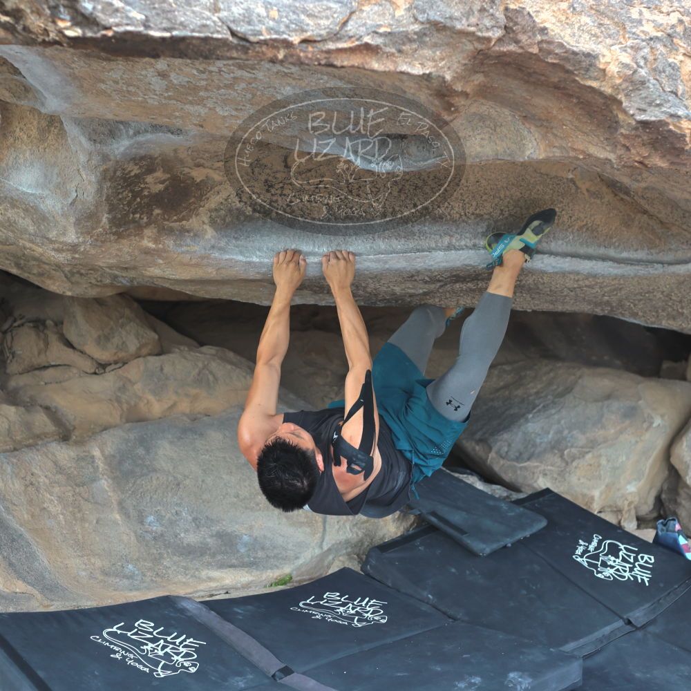 

Filename: SRM_20221022_1542200.jpg
Aperture: f/4.0
Shutter Speed: 1/500
Body: Canon EOS R6
Lens: Canon EF 50mm f/1.8 II