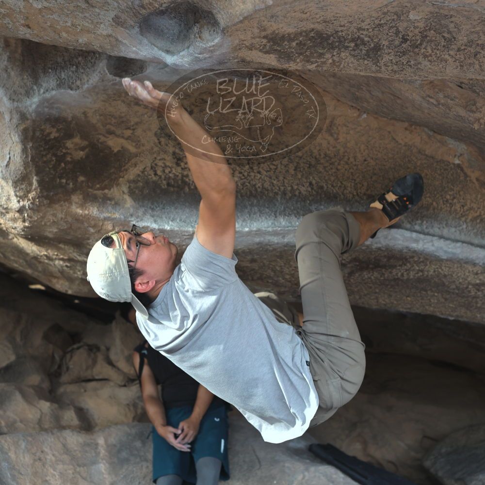 Filename: SRM_20221022_1544330.jpg
Aperture: f/4.0
Shutter Speed: 1/500
Body: Canon EOS R6
Lens: Canon EF 50mm f/1.8 II