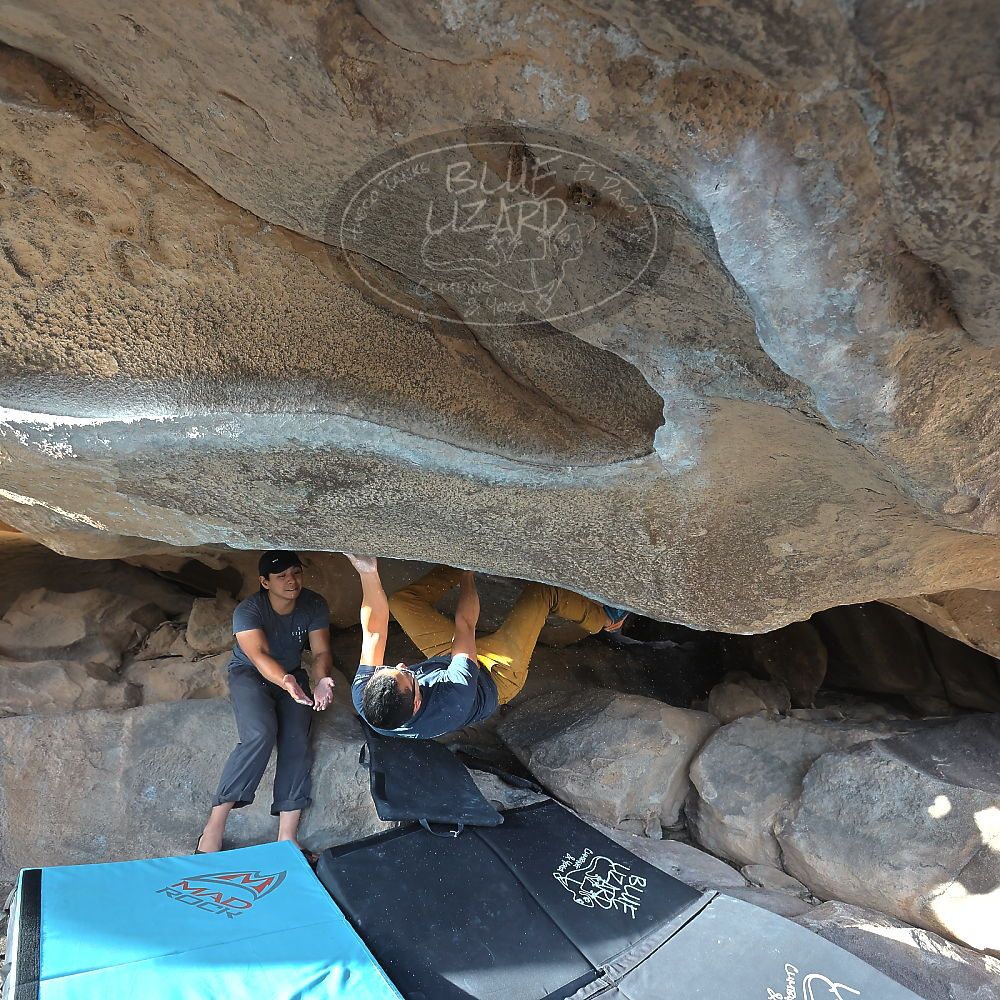 Filename: SRM_20221022_1602570.jpg
Aperture: f/4.0
Shutter Speed: 1/500
Body: Canon EOS R6
Lens: Canon EF 16-35mm f/2.8 L