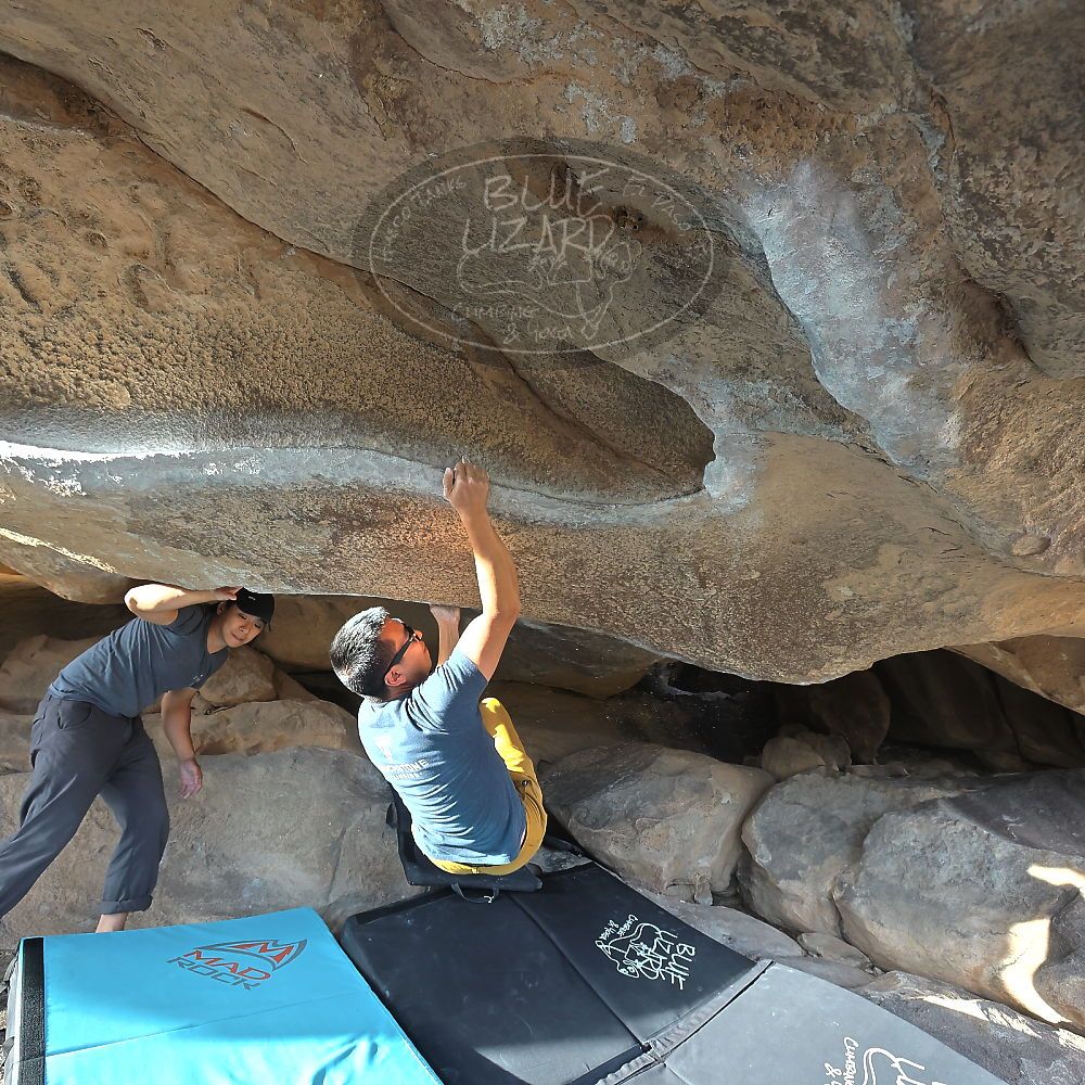 Filename: SRM_20221022_1603010.jpg
Aperture: f/5.6
Shutter Speed: 1/500
Body: Canon EOS R6
Lens: Canon EF 16-35mm f/2.8 L