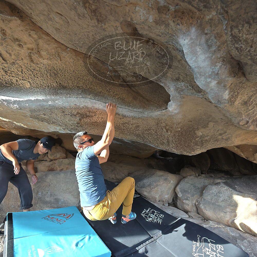 Filename: SRM_20221022_1603020.jpg
Aperture: f/5.6
Shutter Speed: 1/500
Body: Canon EOS R6
Lens: Canon EF 16-35mm f/2.8 L