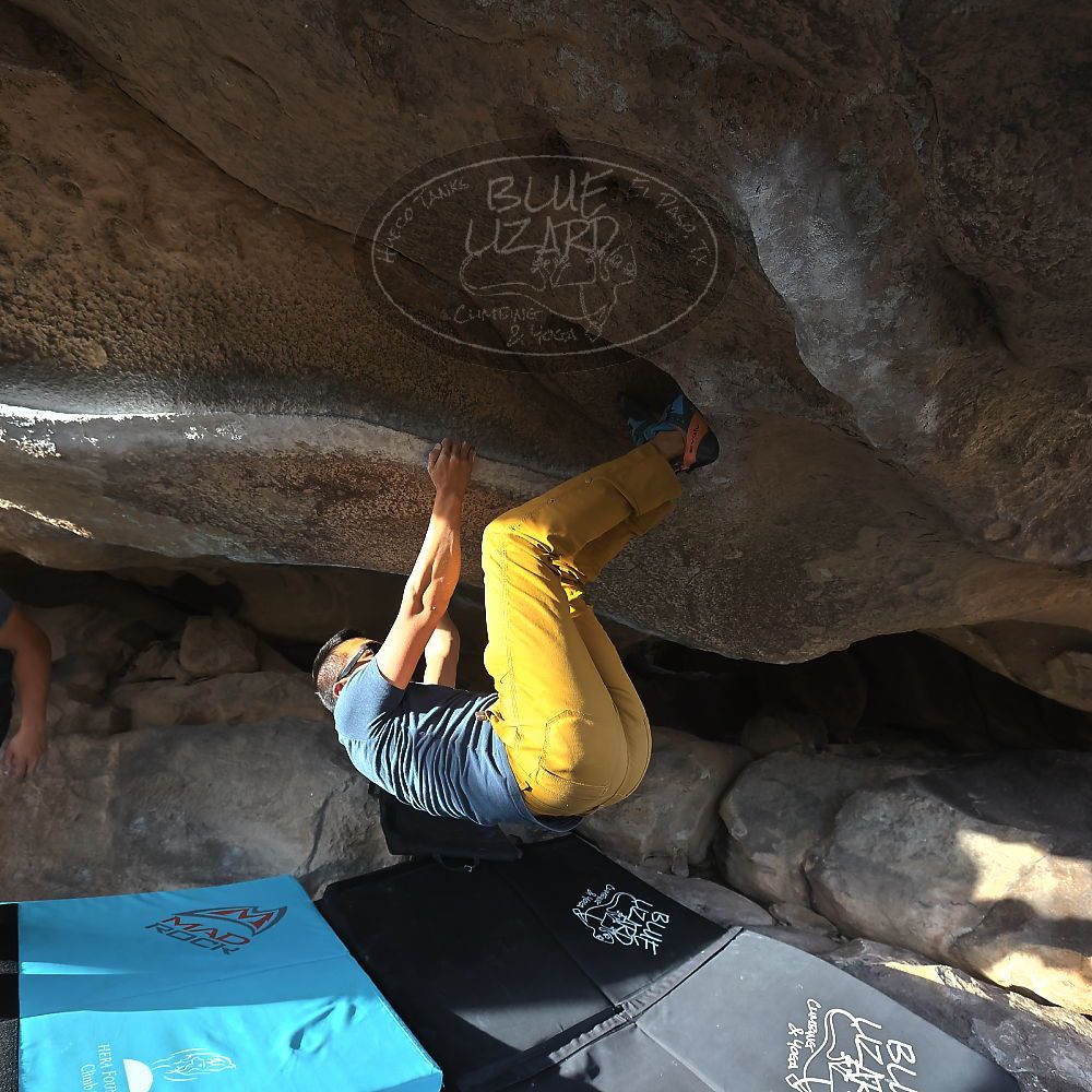 Filename: SRM_20221022_1603030.jpg
Aperture: f/5.6
Shutter Speed: 1/500
Body: Canon EOS R6
Lens: Canon EF 16-35mm f/2.8 L