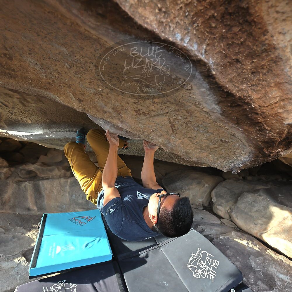 Filename: SRM_20221022_1603180.jpg
Aperture: f/5.6
Shutter Speed: 1/500
Body: Canon EOS R6
Lens: Canon EF 16-35mm f/2.8 L