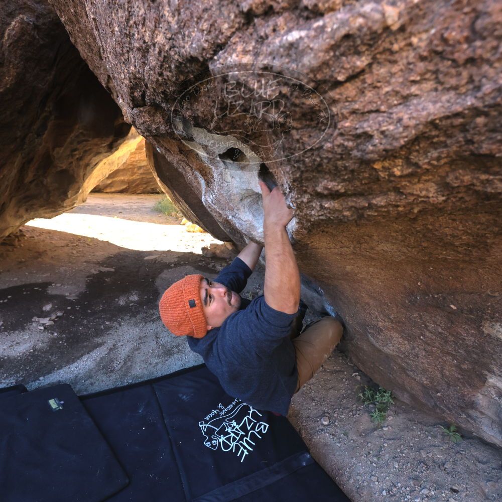 

Filename: SRM_20221025_0923351.jpg
Aperture: f/5.6
Shutter Speed: 1/500
Body: Canon EOS R6
Lens: Canon EF 16-35mm f/2.8 L