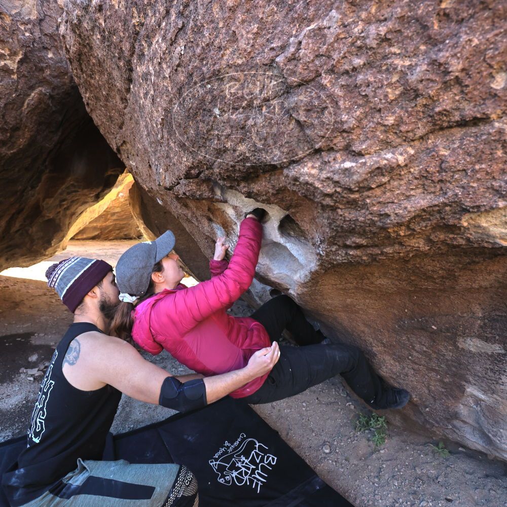 

Filename: SRM_20221025_0930430.jpg
Aperture: f/5.6
Shutter Speed: 1/500
Body: Canon EOS R6
Lens: Canon EF 16-35mm f/2.8 L