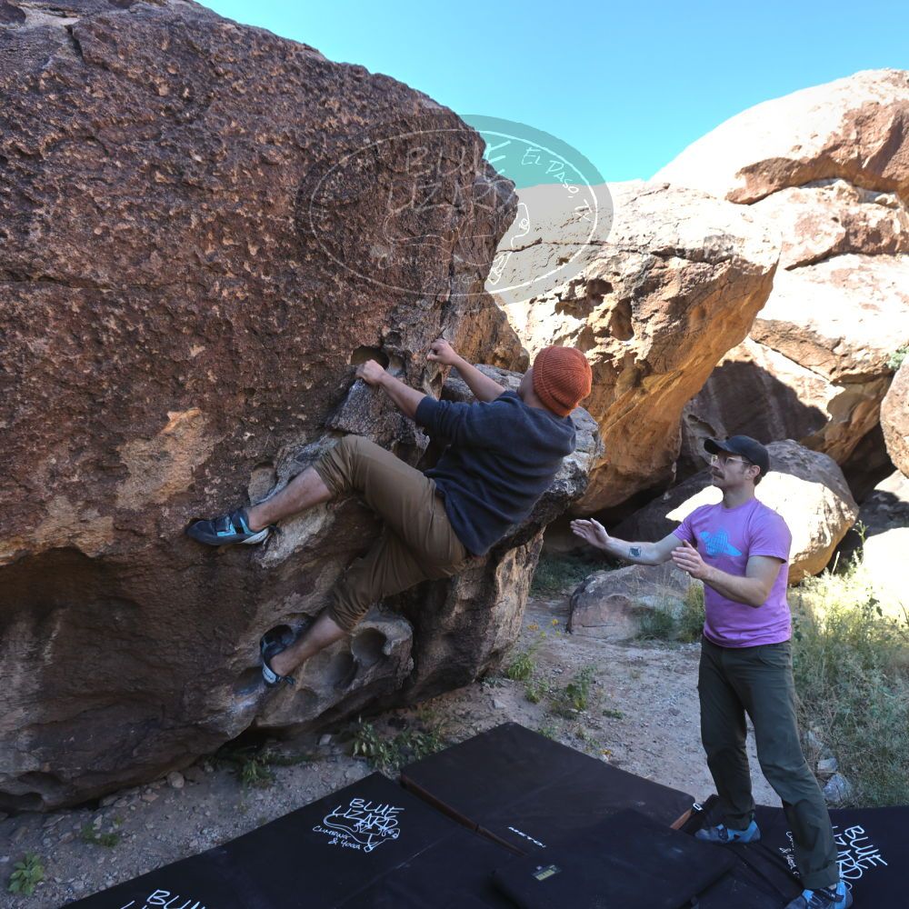 

Filename: SRM_20221025_0943530.jpg
Aperture: f/5.6
Shutter Speed: 1/500
Body: Canon EOS R6
Lens: Canon EF 16-35mm f/2.8 L