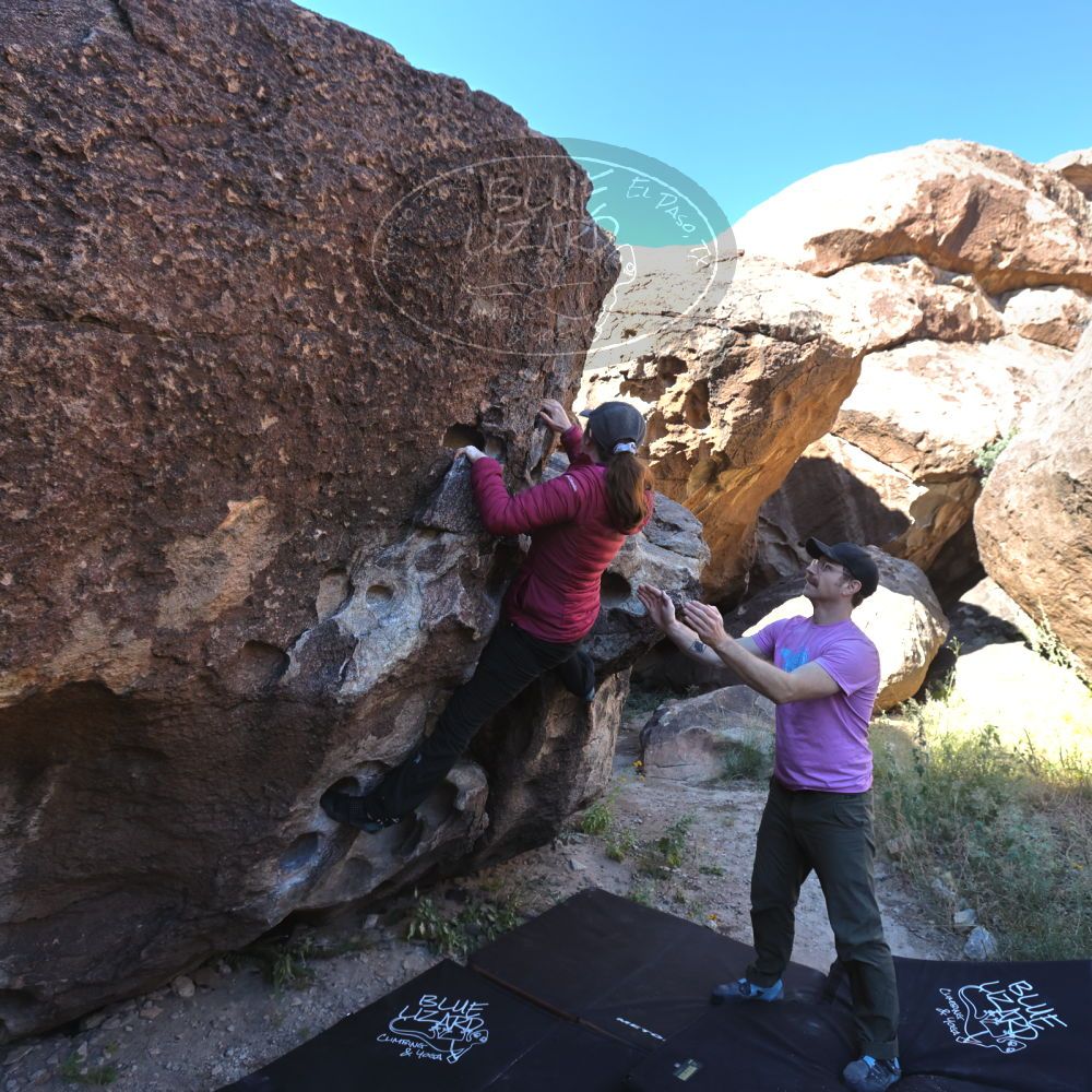 

Filename: SRM_20221025_0945560.jpg
Aperture: f/5.6
Shutter Speed: 1/500
Body: Canon EOS R6
Lens: Canon EF 16-35mm f/2.8 L