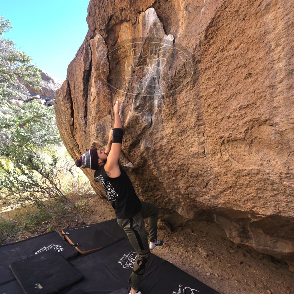 

Filename: SRM_20221025_1010470.jpg
Aperture: f/5.6
Shutter Speed: 1/500
Body: Canon EOS R6
Lens: Canon EF 16-35mm f/2.8 L