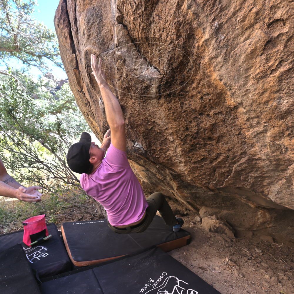 

Filename: SRM_20221025_1013281.jpg
Aperture: f/5.6
Shutter Speed: 1/500
Body: Canon EOS R6
Lens: Canon EF 16-35mm f/2.8 L