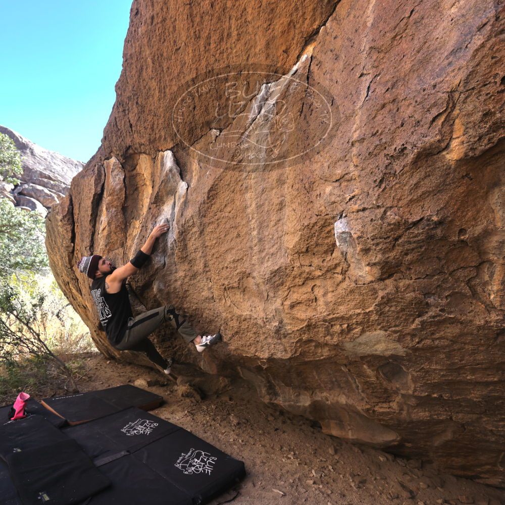 

Filename: SRM_20221025_1016180.jpg
Aperture: f/5.6
Shutter Speed: 1/500
Body: Canon EOS R6
Lens: Canon EF 16-35mm f/2.8 L