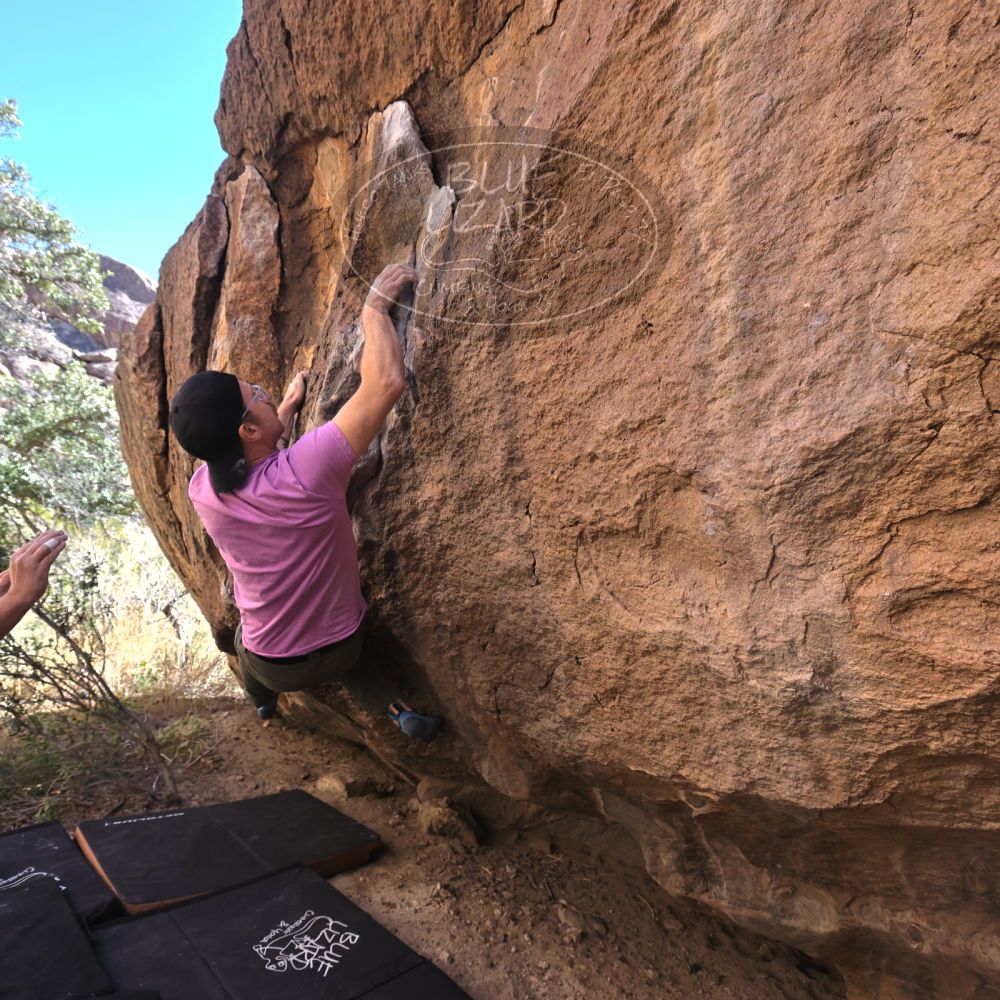 

Filename: SRM_20221025_1017450.jpg
Aperture: f/5.6
Shutter Speed: 1/500
Body: Canon EOS R6
Lens: Canon EF 16-35mm f/2.8 L