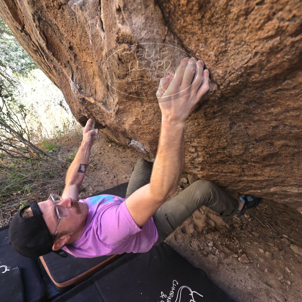 

Filename: SRM_20221025_1053501.jpg
Aperture: f/5.6
Shutter Speed: 1/500
Body: Canon EOS R6
Lens: Canon EF 16-35mm f/2.8 L