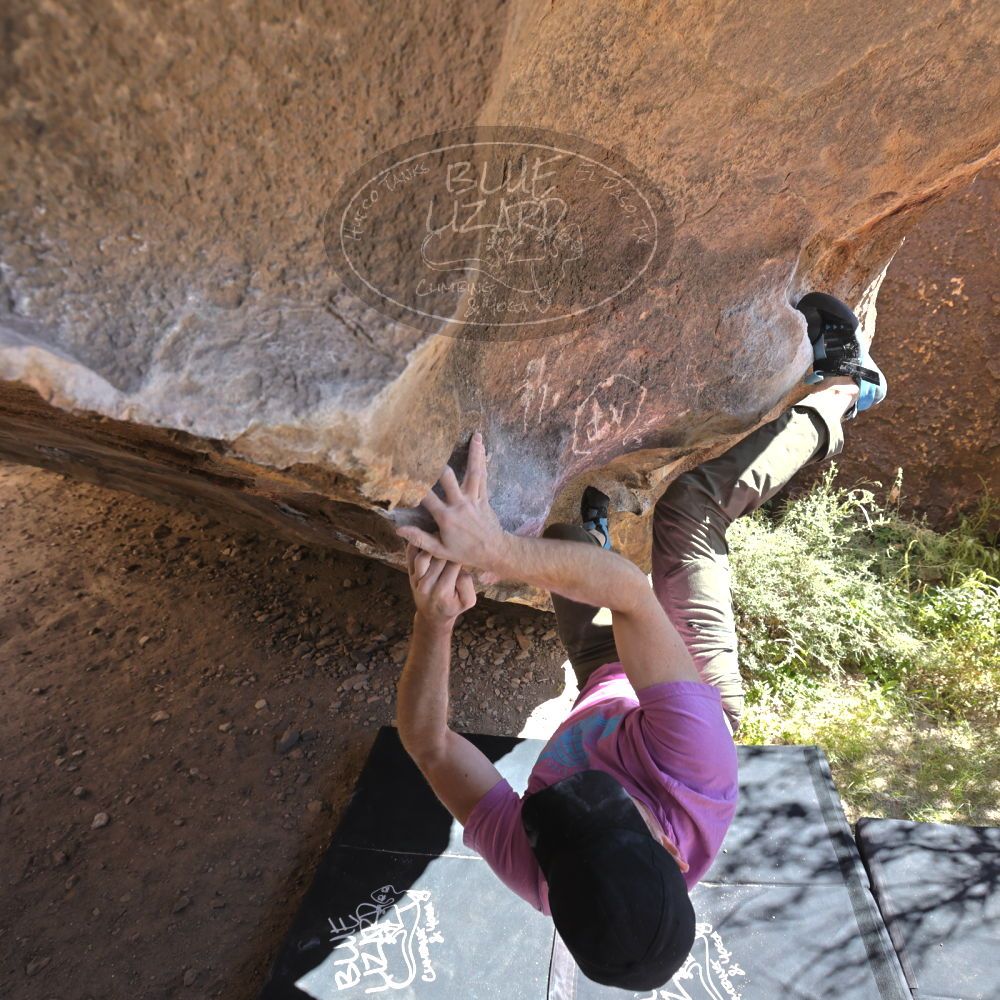 

Filename: SRM_20221025_1110460.jpg
Aperture: f/5.6
Shutter Speed: 1/500
Body: Canon EOS R6
Lens: Canon EF 16-35mm f/2.8 L