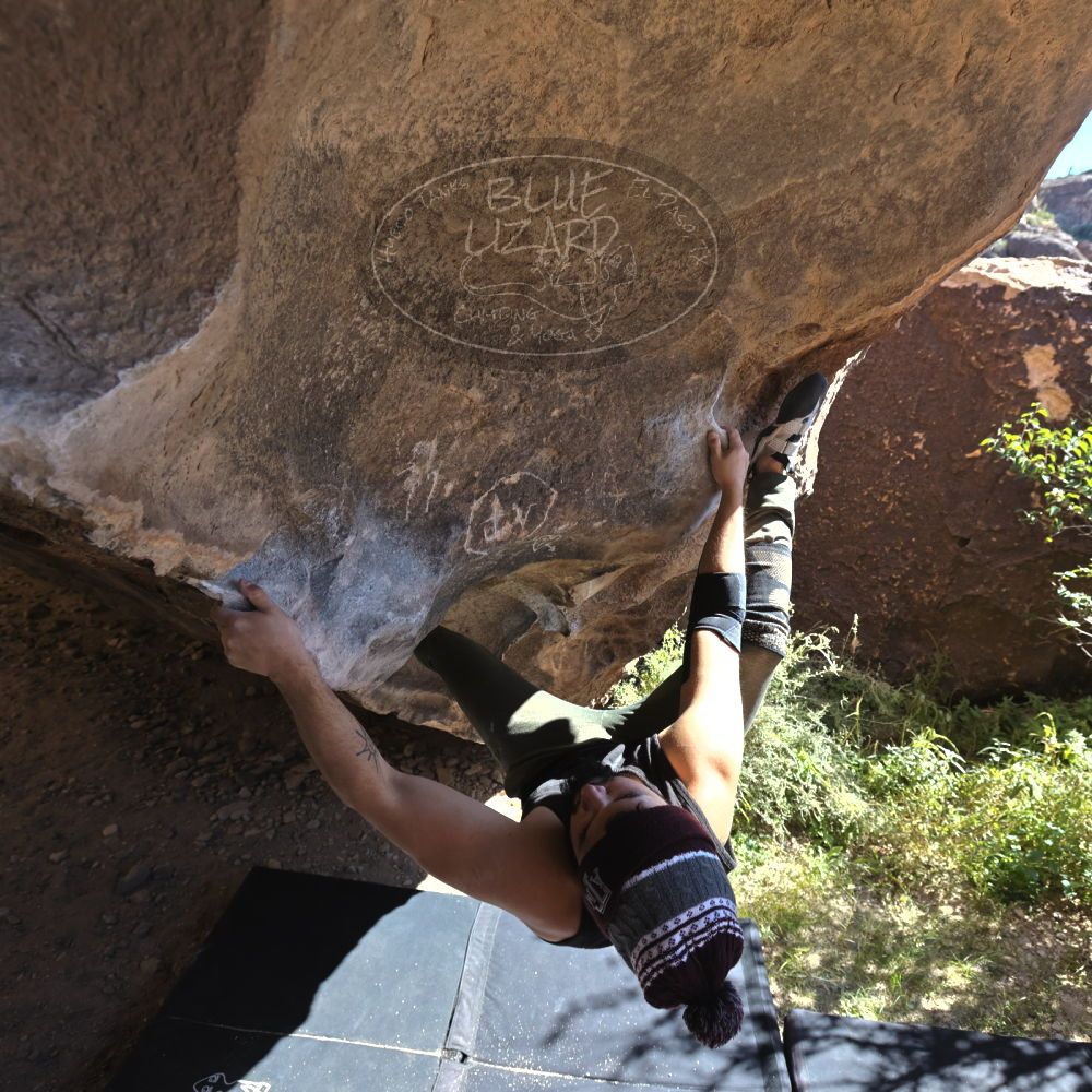 

Filename: SRM_20221025_1112230.jpg
Aperture: f/5.6
Shutter Speed: 1/500
Body: Canon EOS R6
Lens: Canon EF 16-35mm f/2.8 L