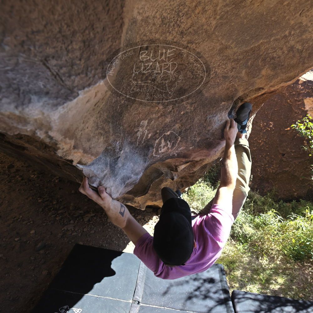 

Filename: SRM_20221025_1114480.jpg
Aperture: f/5.6
Shutter Speed: 1/500
Body: Canon EOS R6
Lens: Canon EF 16-35mm f/2.8 L