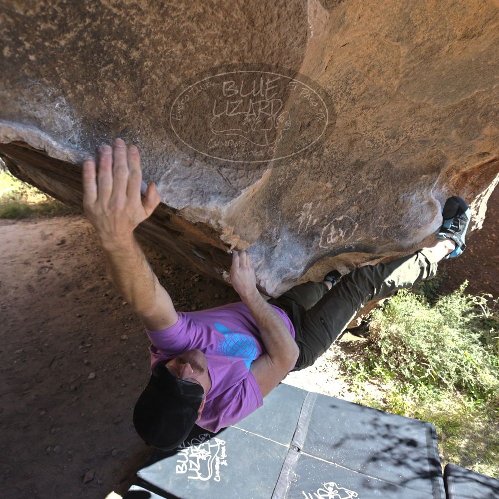 

Filename: SRM_20221025_1114540.jpg
Aperture: f/5.6
Shutter Speed: 1/500
Body: Canon EOS R6
Lens: Canon EF 16-35mm f/2.8 L