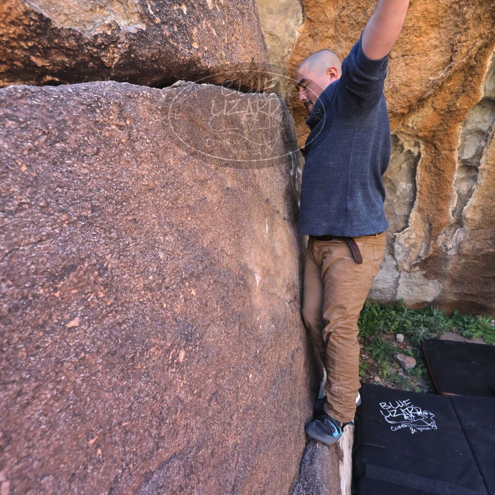 

Filename: SRM_20221025_1123020.jpg
Aperture: f/5.6
Shutter Speed: 1/500
Body: Canon EOS R6
Lens: Canon EF 16-35mm f/2.8 L