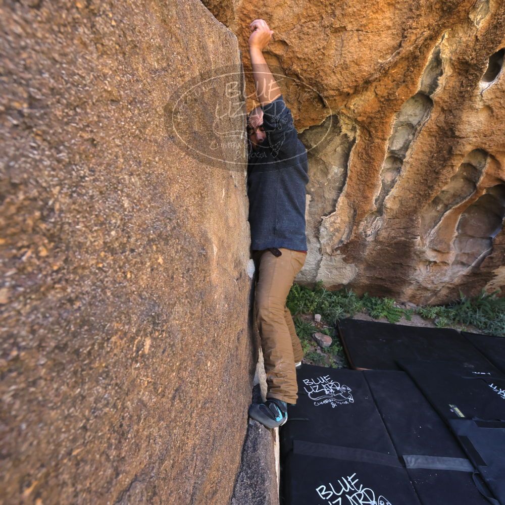 

Filename: SRM_20221025_1123300.jpg
Aperture: f/5.6
Shutter Speed: 1/500
Body: Canon EOS R6
Lens: Canon EF 16-35mm f/2.8 L