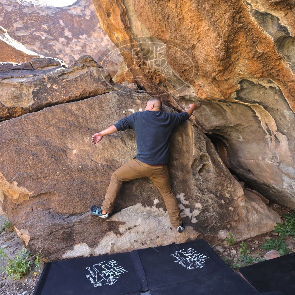 

Filename: SRM_20221025_1124040.jpg
Aperture: f/5.6
Shutter Speed: 1/500
Body: Canon EOS R6
Lens: Canon EF 16-35mm f/2.8 L