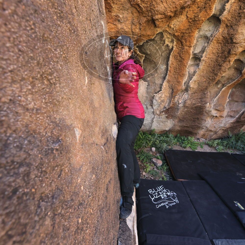 

Filename: SRM_20221025_1124340.jpg
Aperture: f/5.6
Shutter Speed: 1/500
Body: Canon EOS R6
Lens: Canon EF 16-35mm f/2.8 L