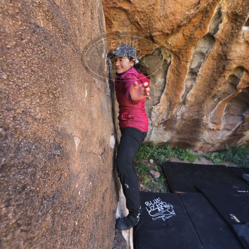 

Filename: SRM_20221025_1124550.jpg
Aperture: f/5.6
Shutter Speed: 1/500
Body: Canon EOS R6
Lens: Canon EF 16-35mm f/2.8 L