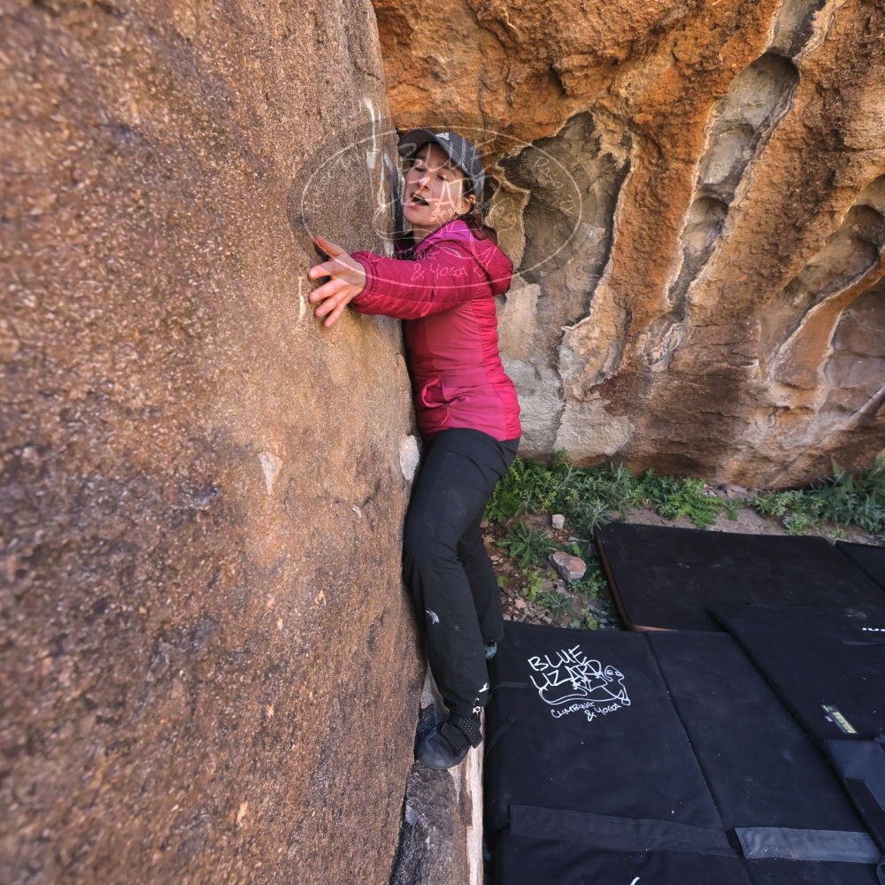 

Filename: SRM_20221025_1125100.jpg
Aperture: f/5.6
Shutter Speed: 1/500
Body: Canon EOS R6
Lens: Canon EF 16-35mm f/2.8 L