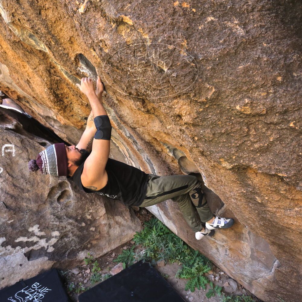 

Filename: SRM_20221025_1134040.jpg
Aperture: f/5.6
Shutter Speed: 1/500
Body: Canon EOS R6
Lens: Canon EF 16-35mm f/2.8 L