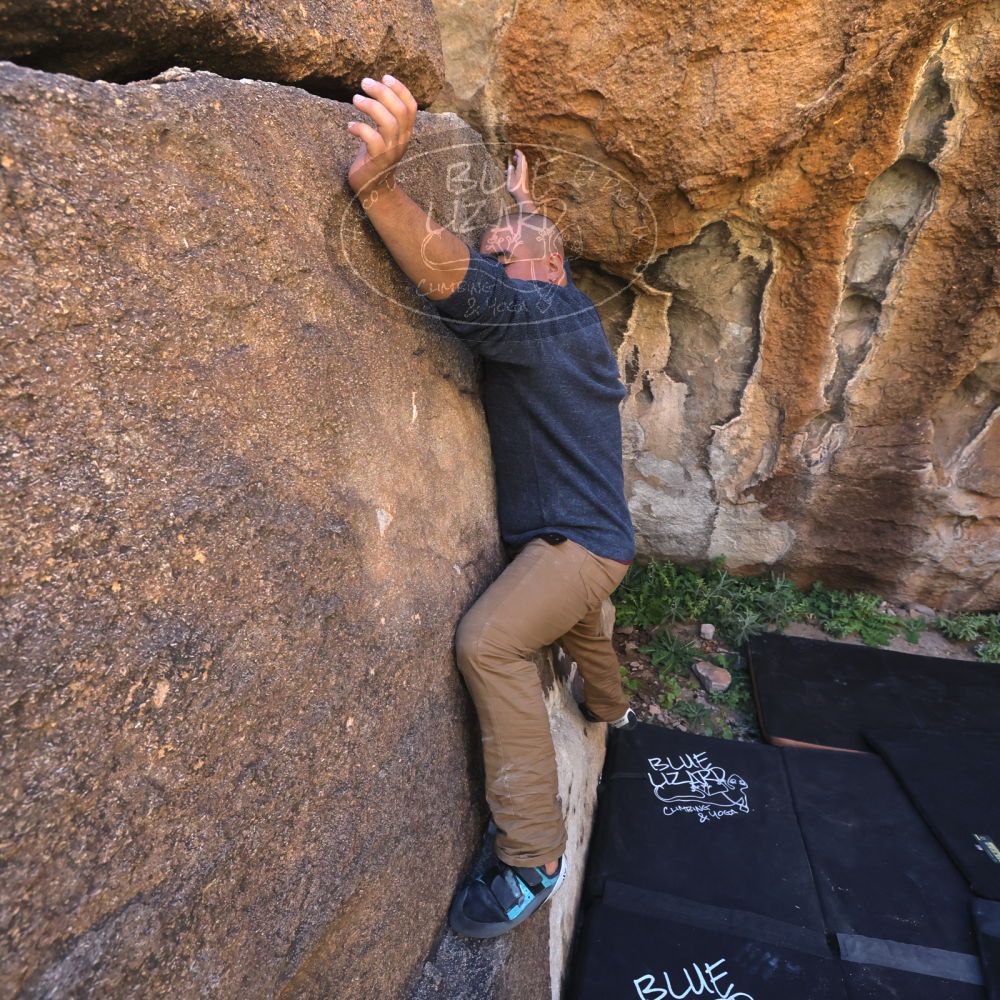 

Filename: SRM_20221025_1134380.jpg
Aperture: f/5.6
Shutter Speed: 1/500
Body: Canon EOS R6
Lens: Canon EF 16-35mm f/2.8 L