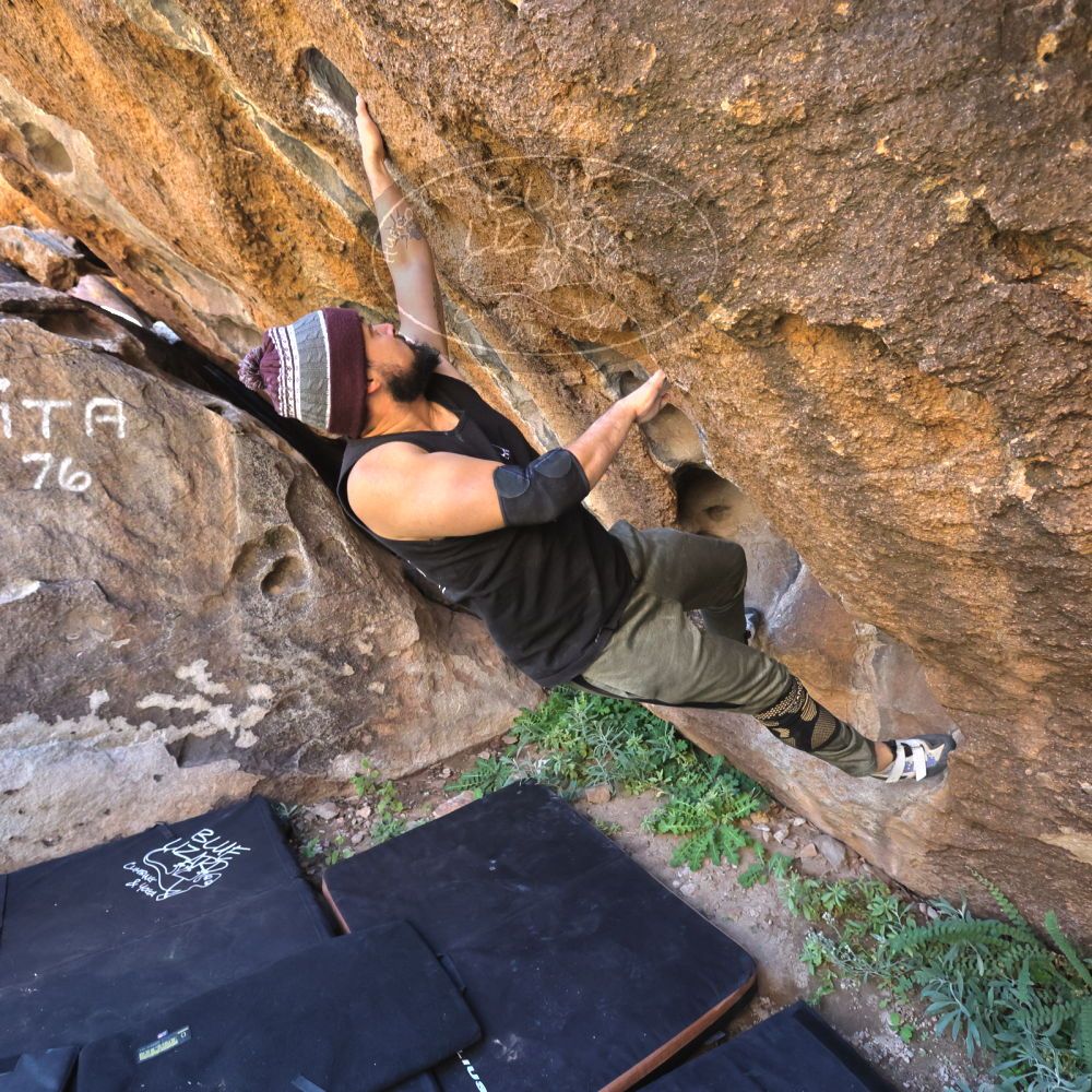 

Filename: SRM_20221025_1135510.jpg
Aperture: f/5.6
Shutter Speed: 1/500
Body: Canon EOS R6
Lens: Canon EF 16-35mm f/2.8 L