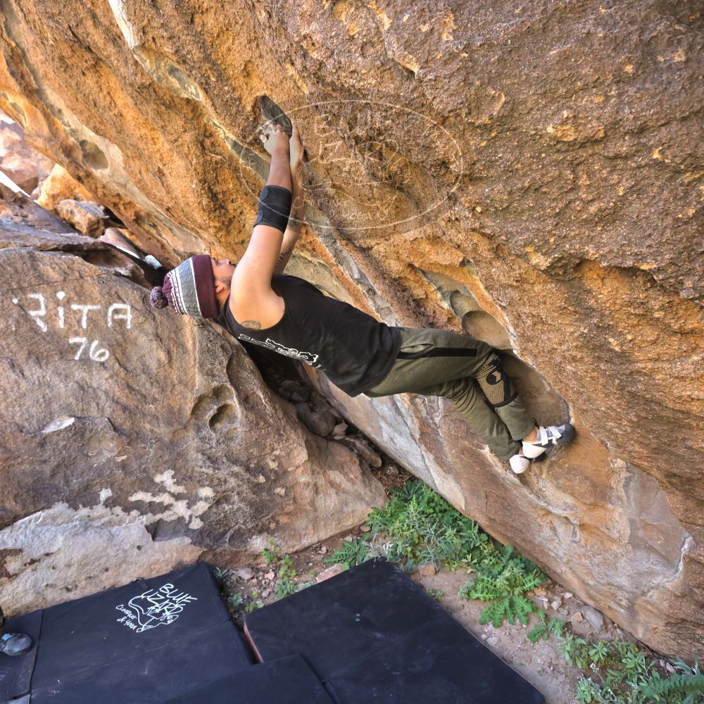 

Filename: SRM_20221025_1135530.jpg
Aperture: f/5.6
Shutter Speed: 1/500
Body: Canon EOS R6
Lens: Canon EF 16-35mm f/2.8 L