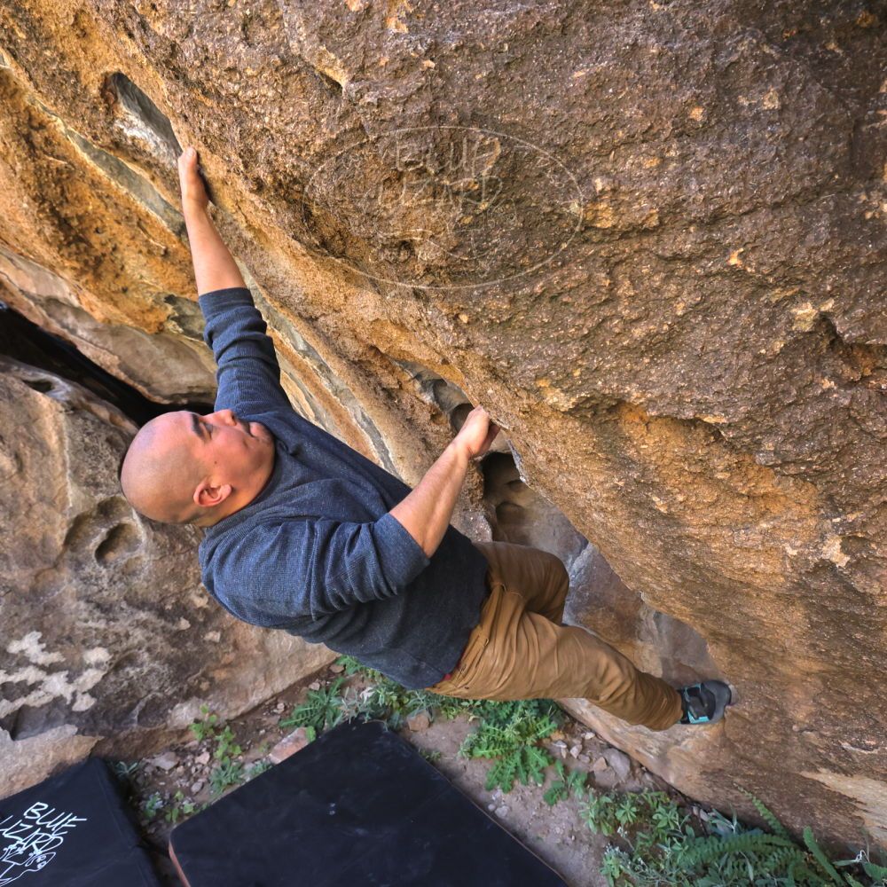 

Filename: SRM_20221025_1137071.jpg
Aperture: f/5.6
Shutter Speed: 1/500
Body: Canon EOS R6
Lens: Canon EF 16-35mm f/2.8 L