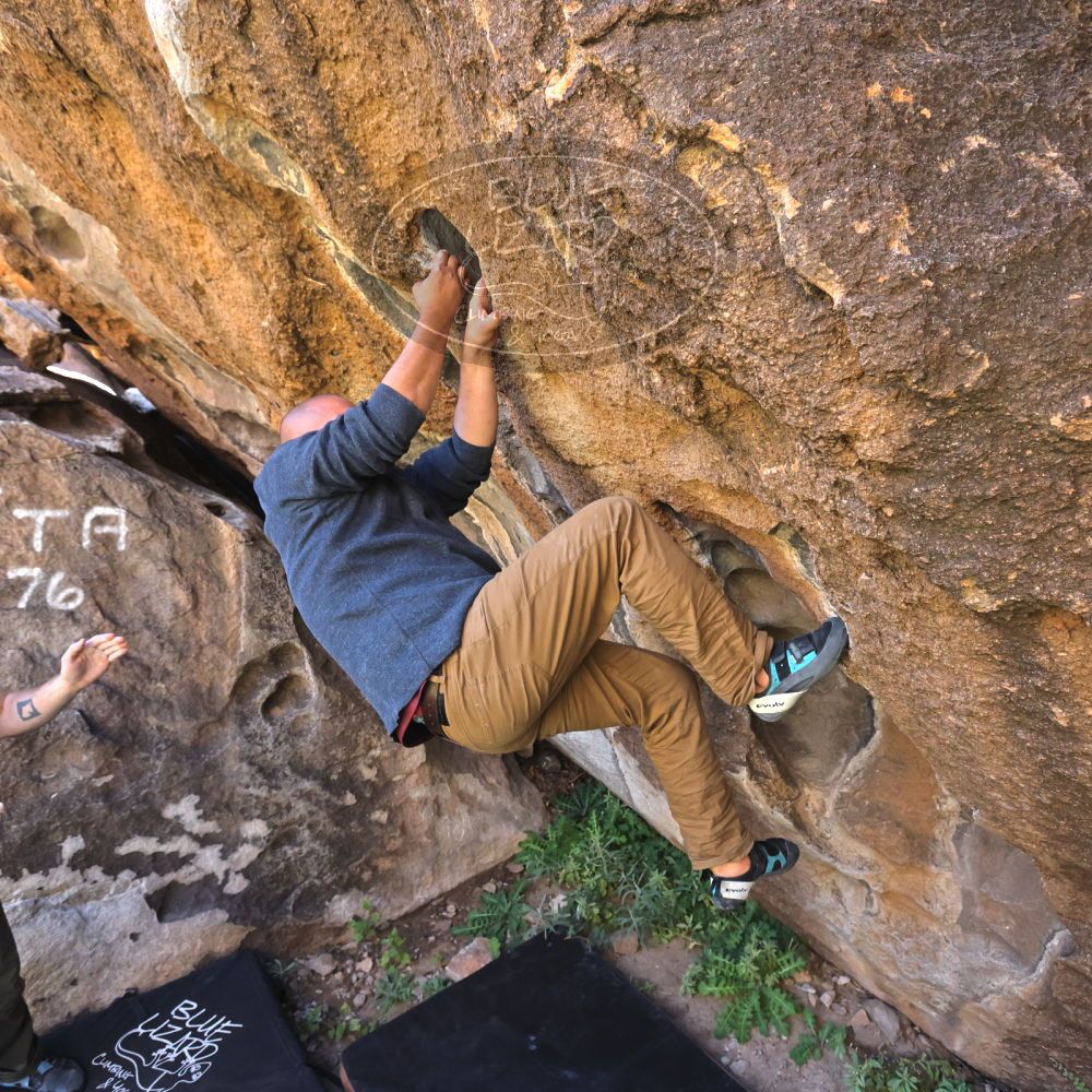 

Filename: SRM_20221025_1137180.jpg
Aperture: f/5.6
Shutter Speed: 1/500
Body: Canon EOS R6
Lens: Canon EF 16-35mm f/2.8 L