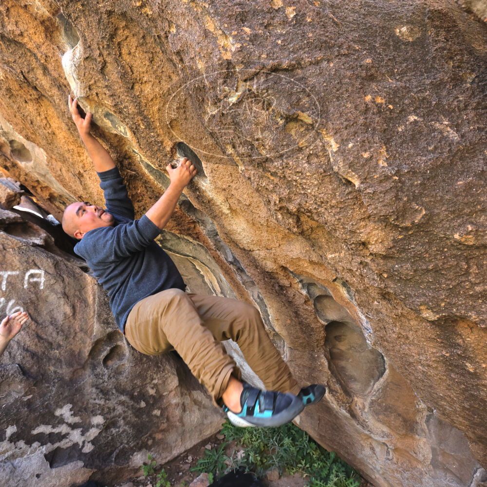 

Filename: SRM_20221025_1137240.jpg
Aperture: f/5.6
Shutter Speed: 1/500
Body: Canon EOS R6
Lens: Canon EF 16-35mm f/2.8 L