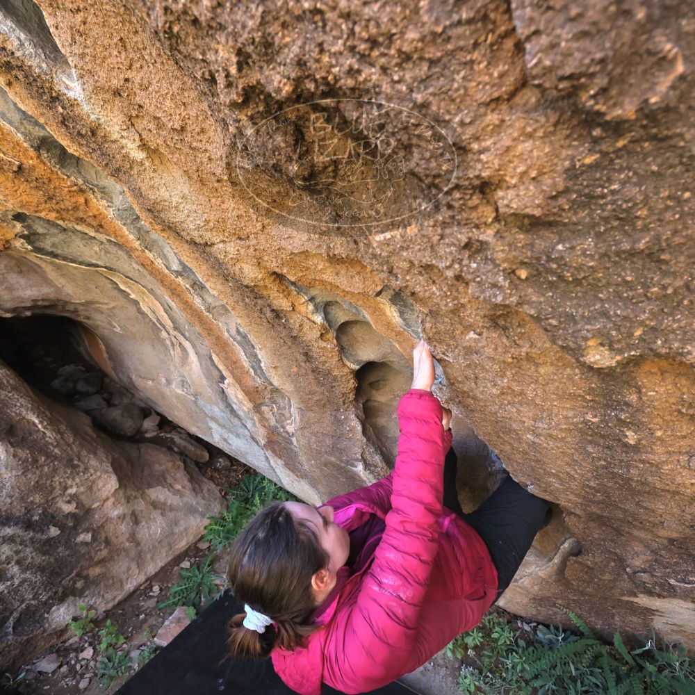 

Filename: SRM_20221025_1139350.jpg
Aperture: f/5.6
Shutter Speed: 1/500
Body: Canon EOS R6
Lens: Canon EF 16-35mm f/2.8 L