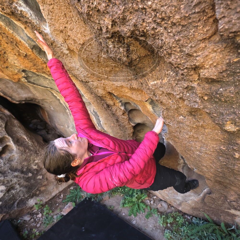 

Filename: SRM_20221025_1139390.jpg
Aperture: f/5.6
Shutter Speed: 1/500
Body: Canon EOS R6
Lens: Canon EF 16-35mm f/2.8 L