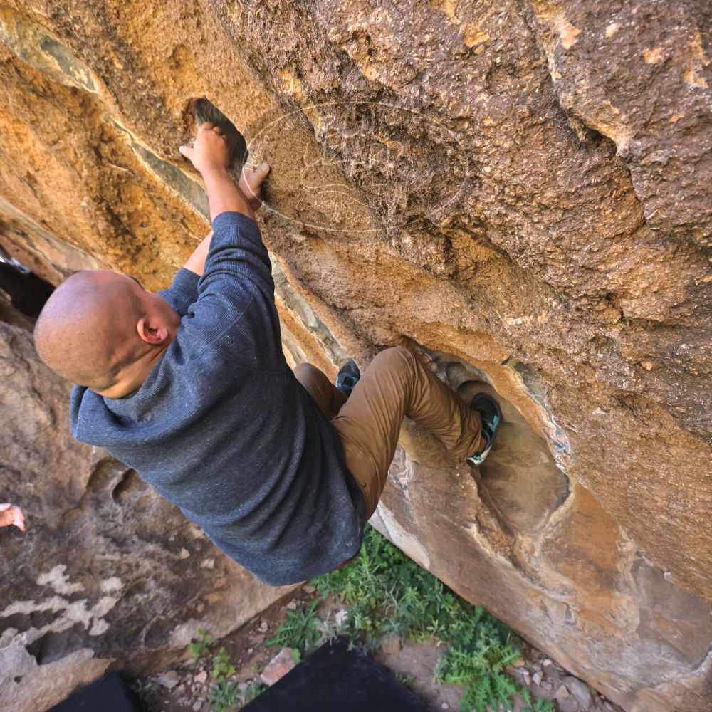 

Filename: SRM_20221025_1143410.jpg
Aperture: f/5.6
Shutter Speed: 1/500
Body: Canon EOS R6
Lens: Canon EF 16-35mm f/2.8 L